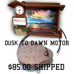 1_dusk-to-dawn-motor